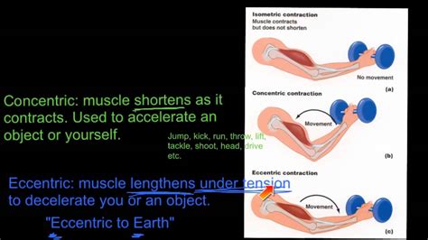 Contraction types - YouTube