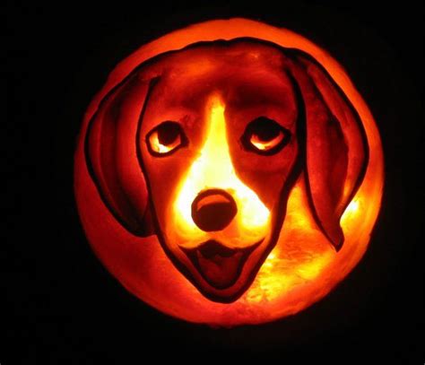 Beagle - Halloween 2008 | Pumpkin carving, Pumpkin, Halloween