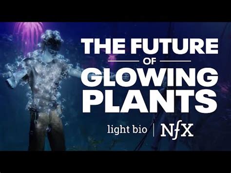 The Future of Glowing Plants (Light Bio) - YouTube