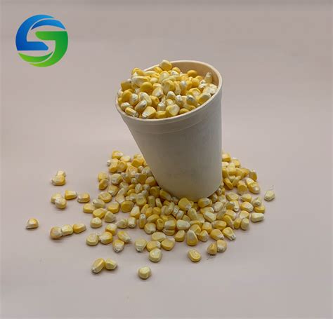 Biodegradable Coffee Cups 8/12/16oz Corn Starch Variety of Sizes