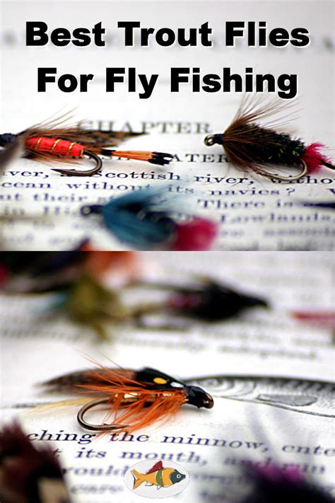 Best Trout Flies For Fly Fishing | A Listly List