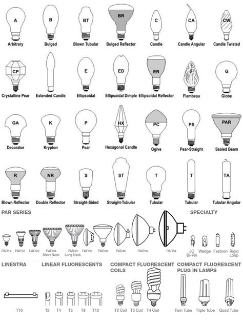 How Do I Know My Light Bulb Size | Americanwarmoms.org