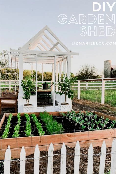 DIY Greenhouse Garden Shed - Liz Marie Blog