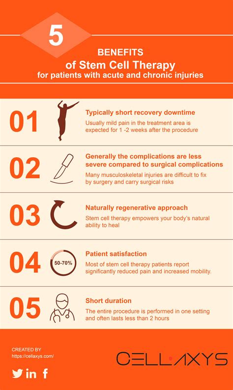 Stem Cell Therapy, Explained: Everything You Need To Know