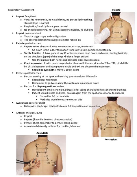 Respiratory Assessment - Studocu