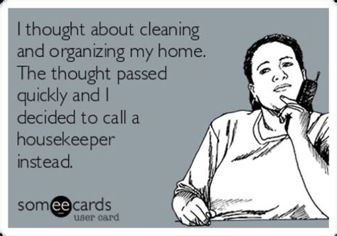 25+ Funny Cleaning Memes You Can Laugh At Instead Of Actually Cleaning Your House | Cleaning ...