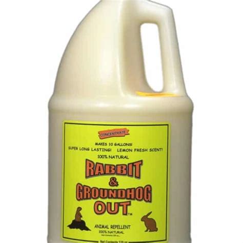 Groundhog Deterrent Home Remedies - Groundhog Repellent