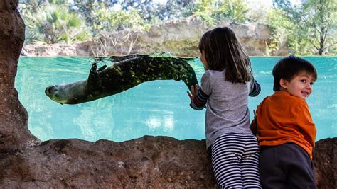 Central Florida Zoo offering free admission to kids during September