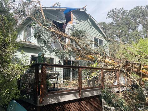 Rain, Winds Pound County, Topple Trees - The Pajaronian | Watsonville, CA