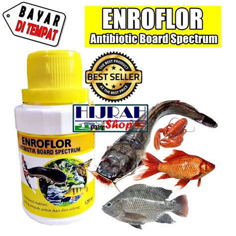 KOI Antibiotic Fish Medicine Treat All Fresh Water Diseases Fried Fish Scales Fried Fish Scales ...