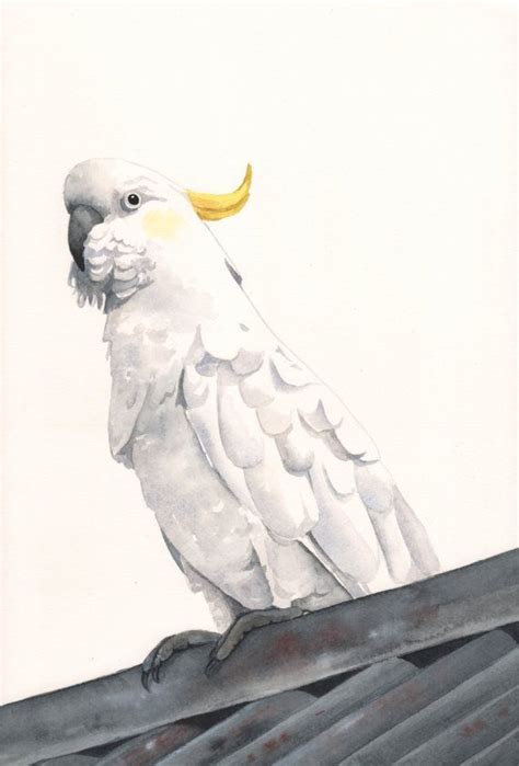 Cockatoo Painting ORIGINAL watercolor painting - Art - | Bird art print, Watercolor paintings ...