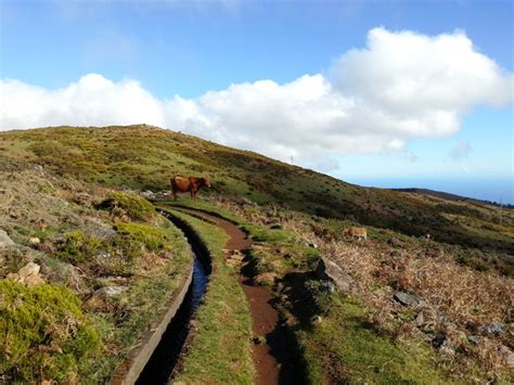 Levada do Paul - Madeira levada walks