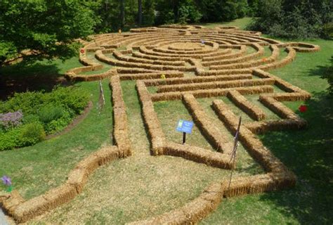 Pin by Erika Escamilla on The Children | Maze, Pumpkin farm, Hay maze