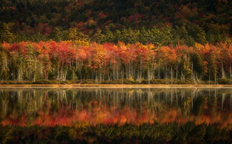 Fall Reflections in Acadia National Park [OC] [4503x2814] : r/EarthPorn