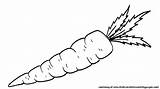 Carrot Clip Art Coloring sketch template