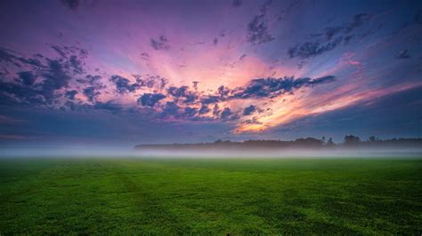 Online crop | green grass field under cloudy sky during daytime ...