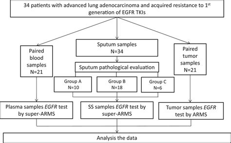 Flowchart of study design. Tumor samples: biopsy or non‐sputum ...