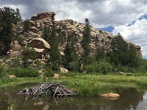 Camping in Medicine Bow-Routt National Forests & Thunder Basin National ...