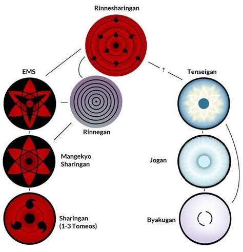 All Types Of Rinnegan