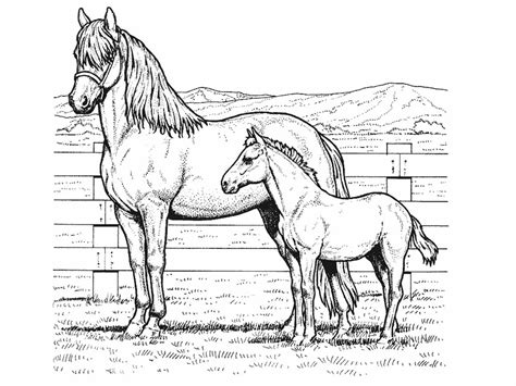 Horse Coloring Pictures | Horse Printable Coloring Pages