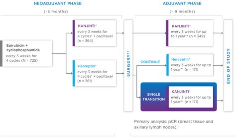 Safety, Side Effects, & Clinical Results | KANJINTI® (trastuzumab-anns)