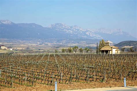 Rioja wine region - wine tourism guide