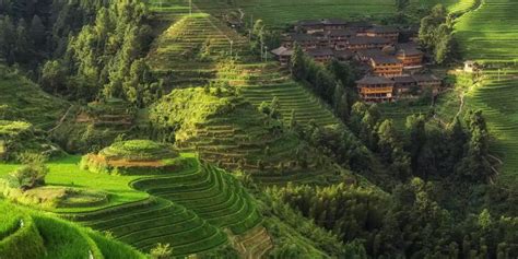 Longsheng Rice Terraces | Guilin, China | Wendy Wu Tours