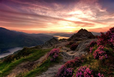 HD wallpaper: pink petaled flowers wallpaper, the sky, grass, mountains, river | Scottish ...