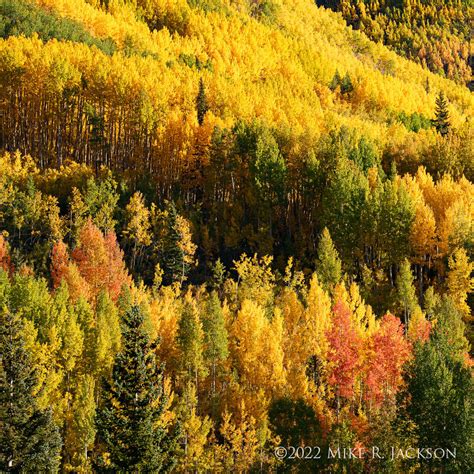 Fall on the Million Dollar Highway - Mike Jackson Photography