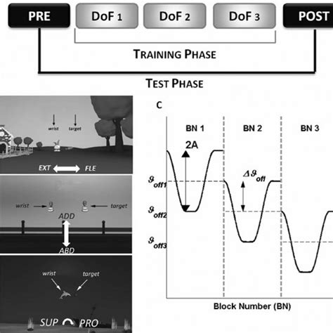 WOLF motor function test. Changes in the WOLF score for the nine ...