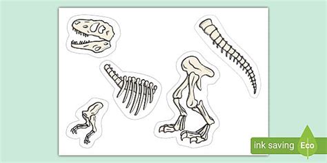 Dinosaur Skeleton Activity (Teacher-Made) - Twinkl