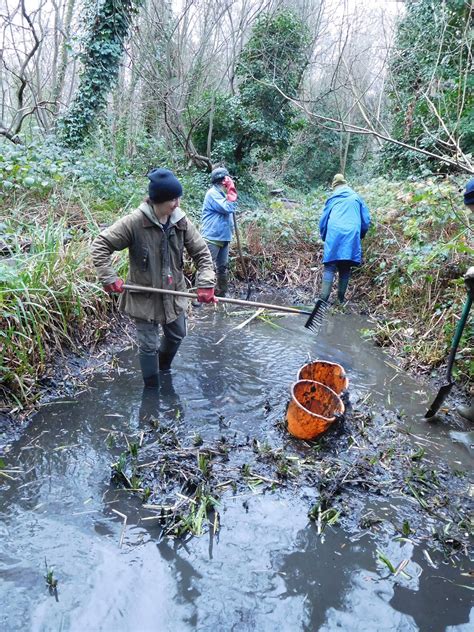 Winter Work at Gunnersbury Triangle – Desilting the Seasonal Pond ...