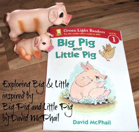 Exploring Big and Little - Inspired by Big Pig and Little Pig by David McPhail | Preschool books ...