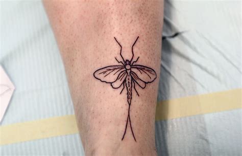 mayfly tattoo Cute Tattoos, Beautiful Tattoos, Beautiful Artwork, Tatoos, Forever Tattoo, Bug ...