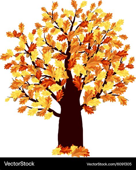 Autumn oak tree Royalty Free Vector Image - VectorStock