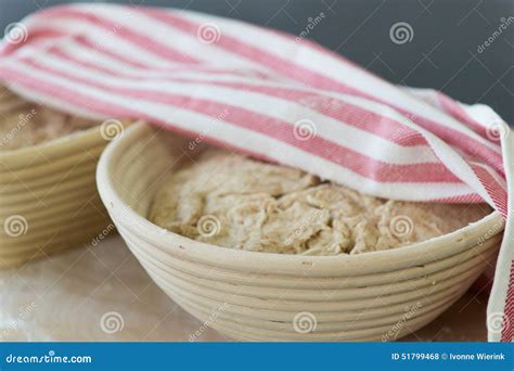 Rising bread dough stock photo. Image of dough, flour - 51799468