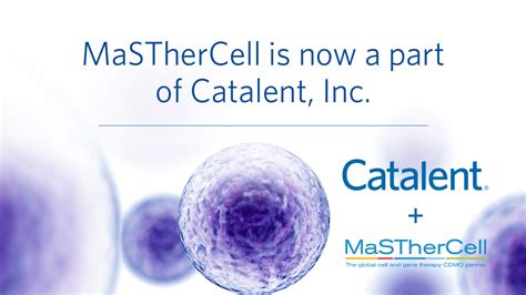 Catalent Has Acquired MaSTherCell - Catalent Biologics