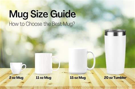 Mug Sizes: How to Choose the Best Mug that Suits You Most!