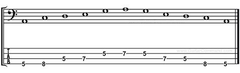 Bass Scales Reference: All Bass Guitar Scales TAB, Notation & Patterns