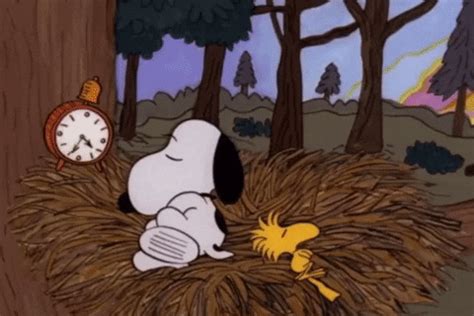 Snoopy Wake Up GIF - Snoopy Wake up Alarm - Discover & Share GIFs