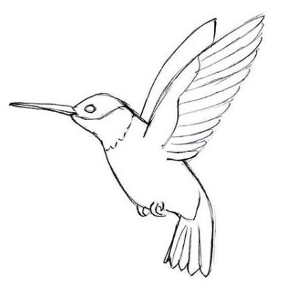 How To Draw A Simple Hummingbird - Draw easy