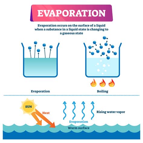 How Long Does It Take for Water To Evaporate? | Water Filter Market