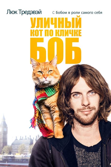 A Street Cat Named Bob (2016) - Posters — The Movie Database (TMDb)