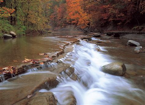 Stebbins Gulch » Holden Forests & Gardens