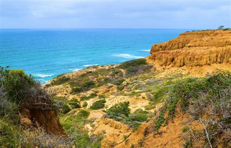 Torrey Pines State Natural Reserve, San Diego, CA - California Beaches