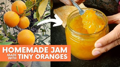 Calamondin Recipes Jams | Dandk Organizer