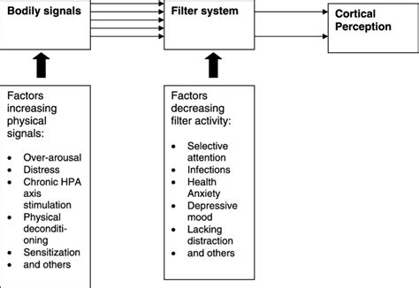 The filter model for somatoform symptoms. | Download Scientific Diagram