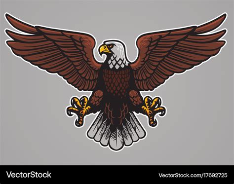 Bald eagle spread his wings Royalty Free Vector Image