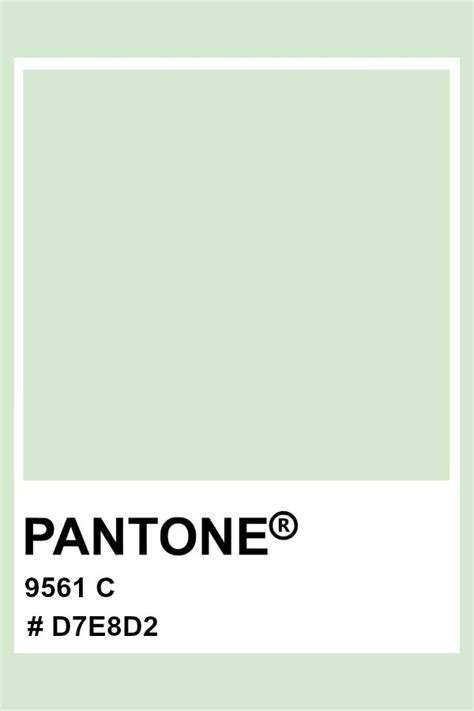 PANTONE 9561 C #pantone #color #pastel #hex | Pantone colour palettes ...