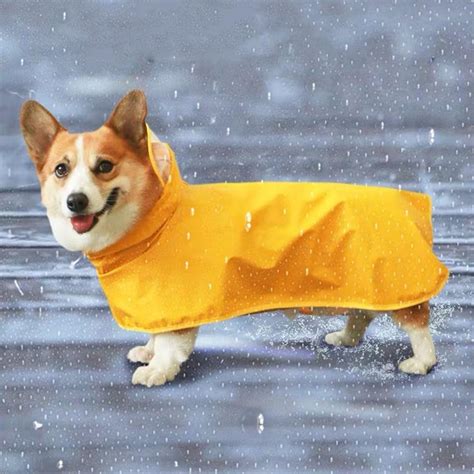 Pet Dog Raincoat For Small Medium Large Dogs Waterproof Jacket | Etsy